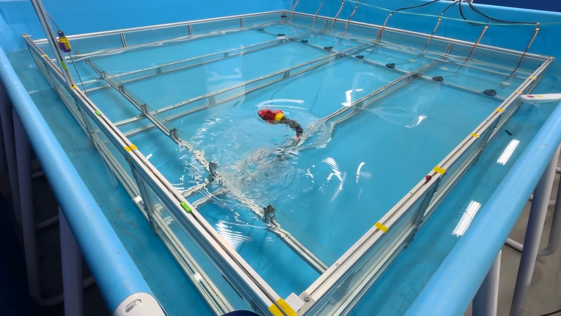 Flow Perception and Flow-Resistant Locomotion for Robotic Fish